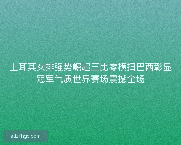 土耳其女排强势崛起三比零横扫巴西彰显冠军气质世界赛场震撼全场