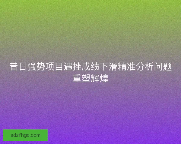 昔日强势项目遇挫成绩下滑精准分析问题重塑辉煌