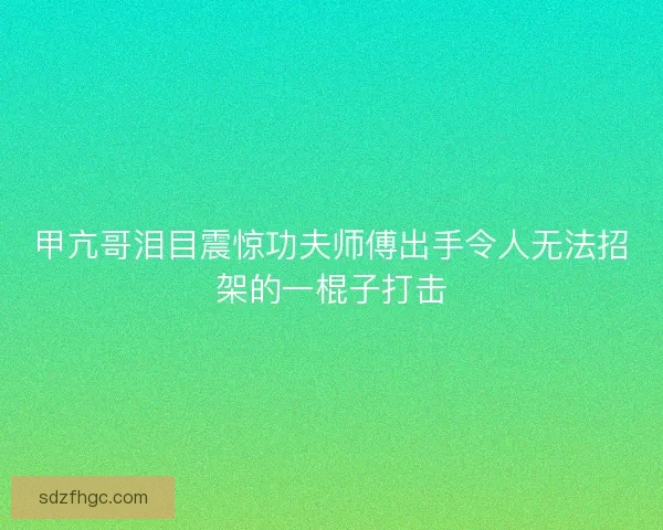 甲亢哥泪目震惊功夫师傅出手令人无法招架的一棍子打击