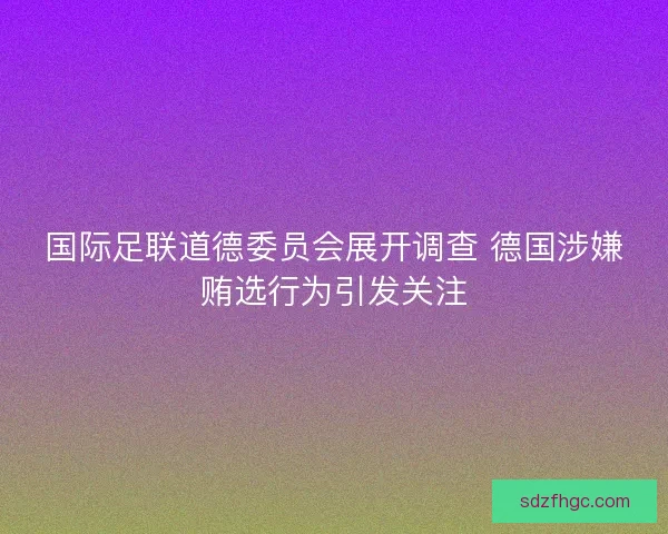 国际足联道德委员会展开调查 德国涉嫌贿选行为引发关注